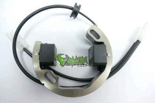 Selettra mini Stator for KTM SX 50 Minicross R2904 with longhole